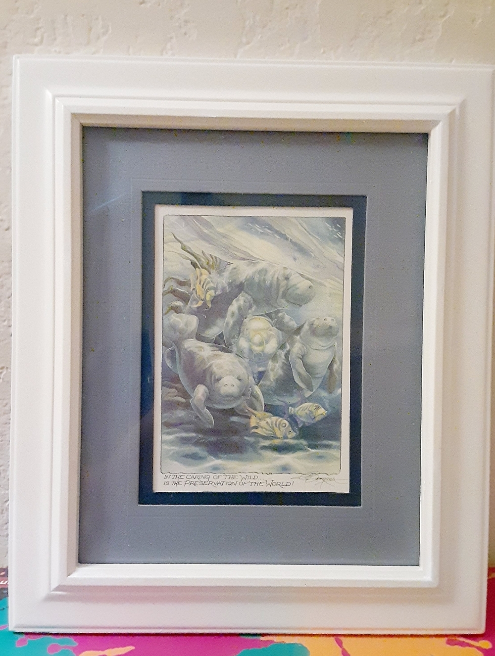 Manatee In The Caring Of The Wild  Framed Print Artwork